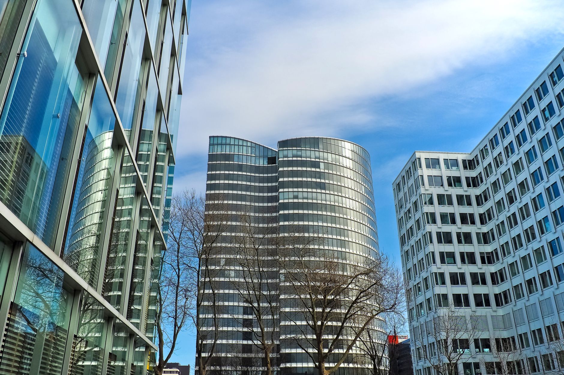 Black Forest Holdings building